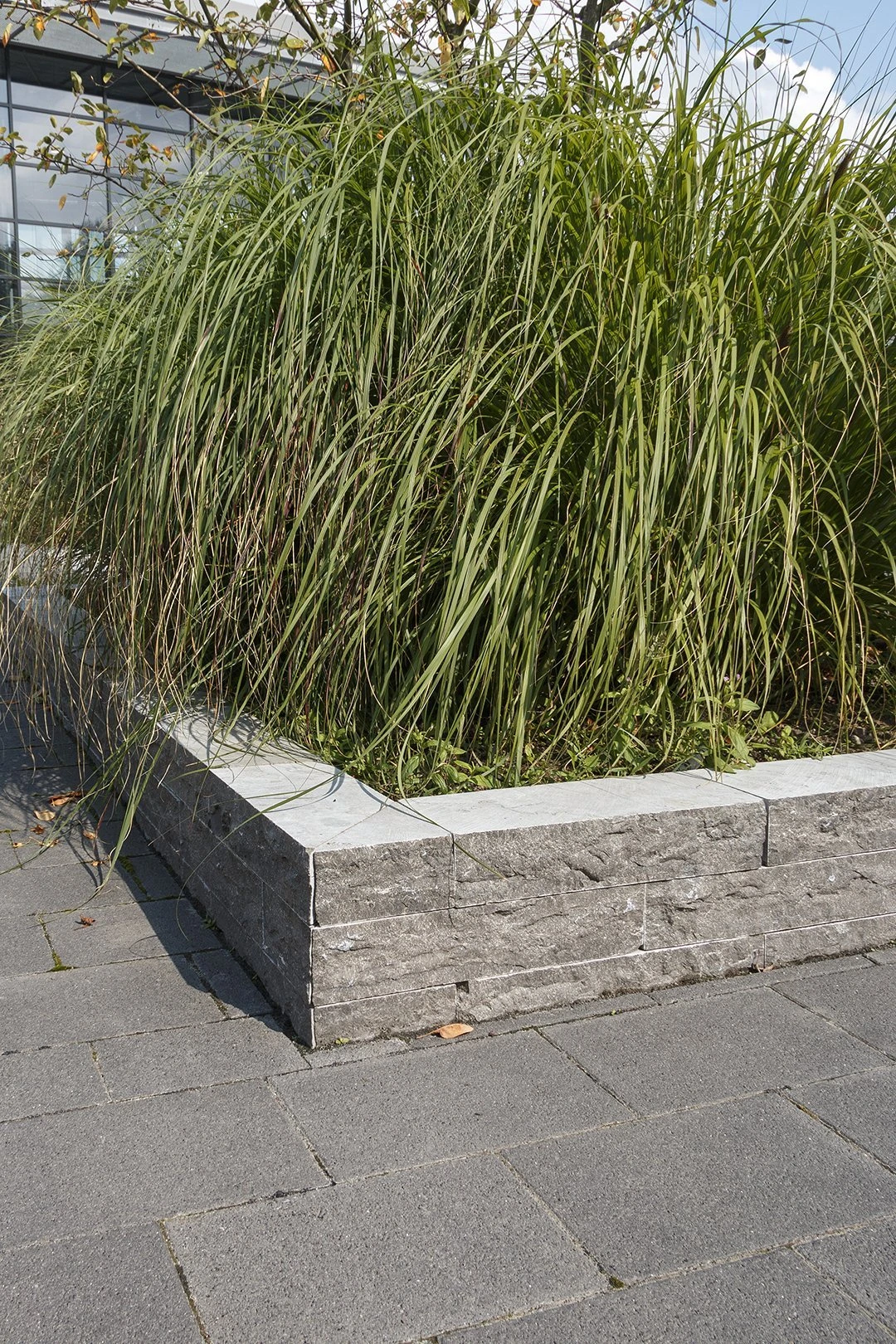 Stapelblokken Multiwall – Blue Moon Rockface