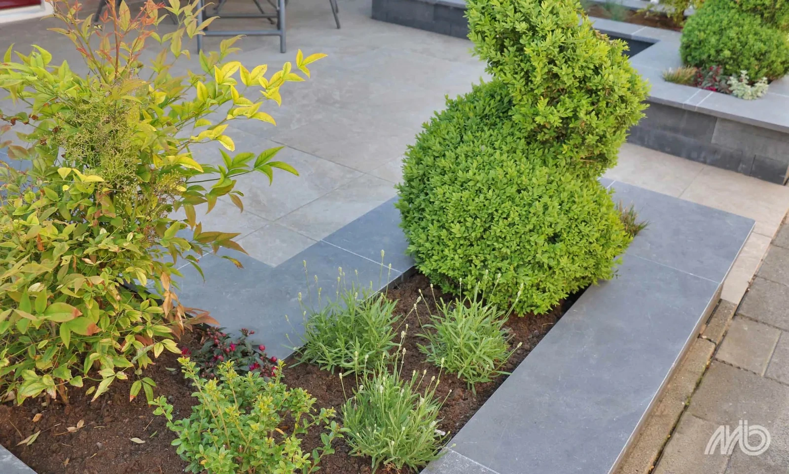 Bluestone VijverrandPrimo 15x3x100cm Blauw,                                                             Grijs