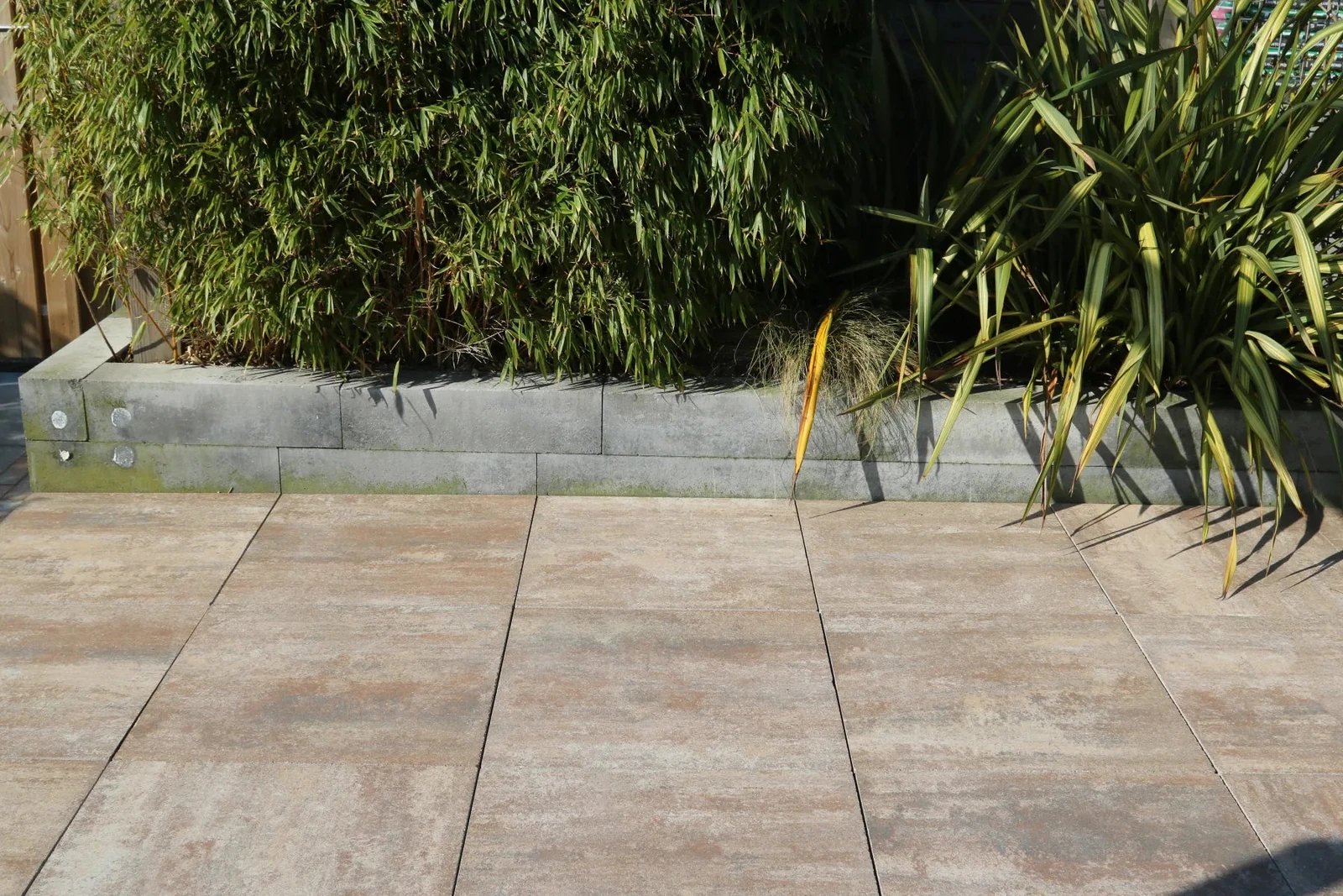 Furora+ Light Bronze 60x60x4,4cm Brons