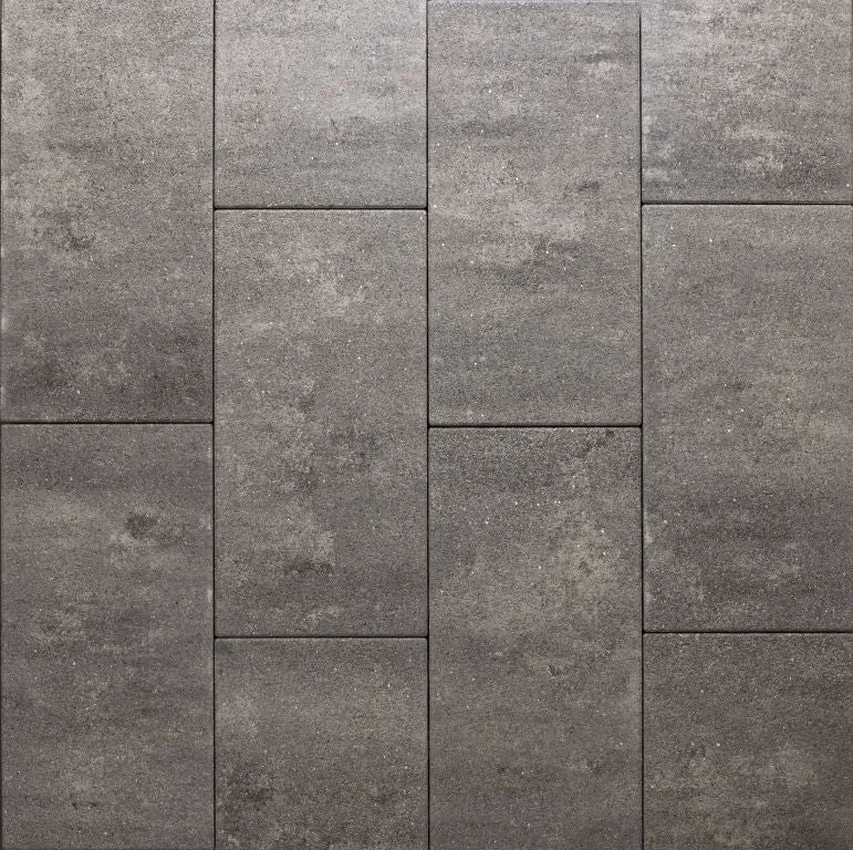 Eliton supreme xxs lin 30x60x4 amiata Redsun betontegel