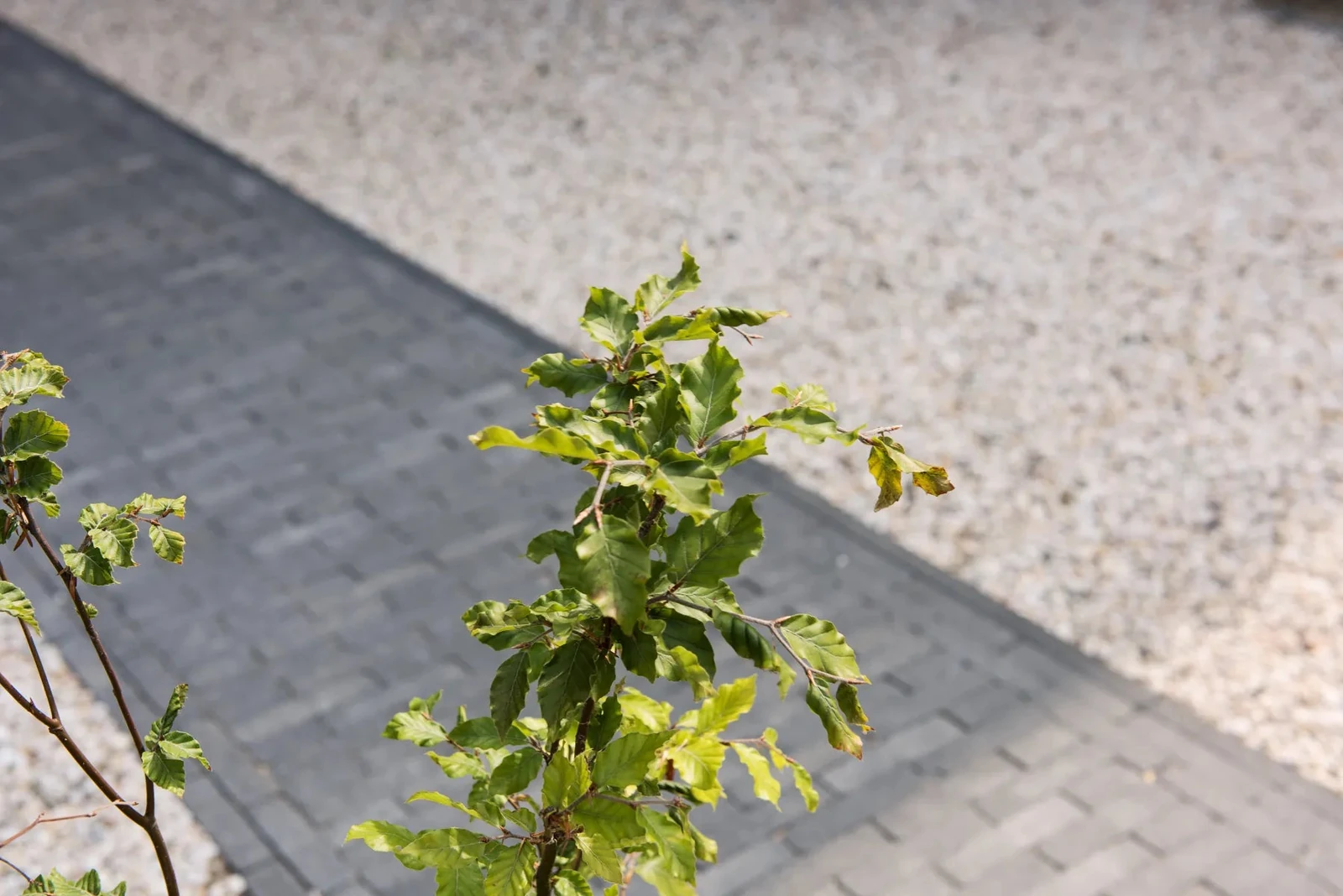 Tambour 20x5x7 20x20x7cm Antraciet