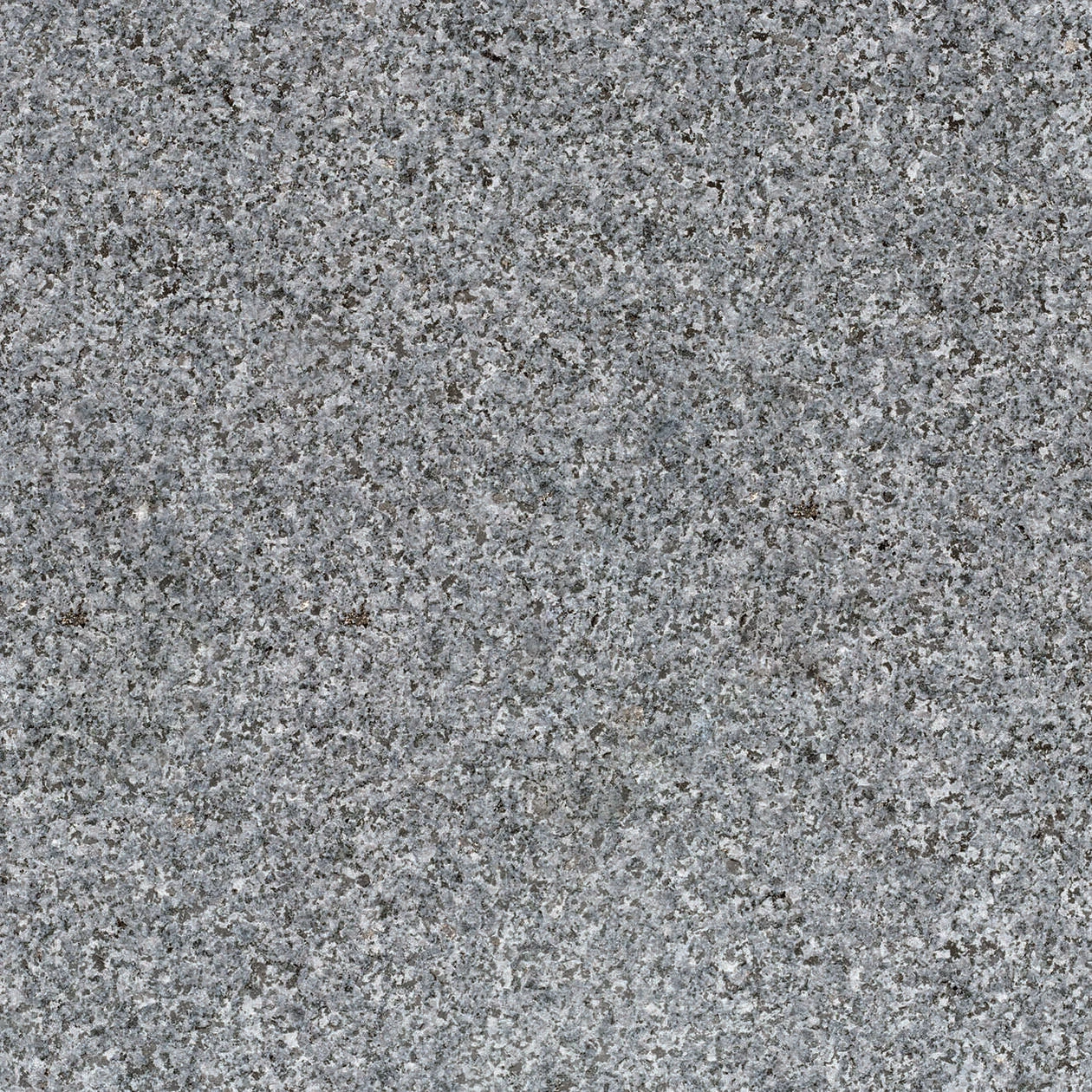 Tibet Dark Grey G654 100x100x3 cm