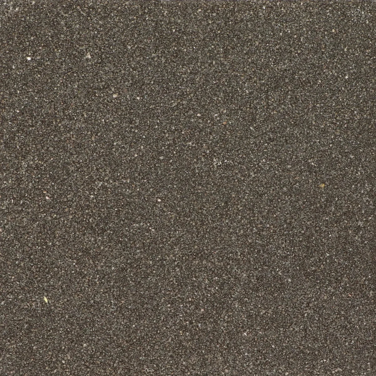 Zoak 30x30x5,5cm Zwart