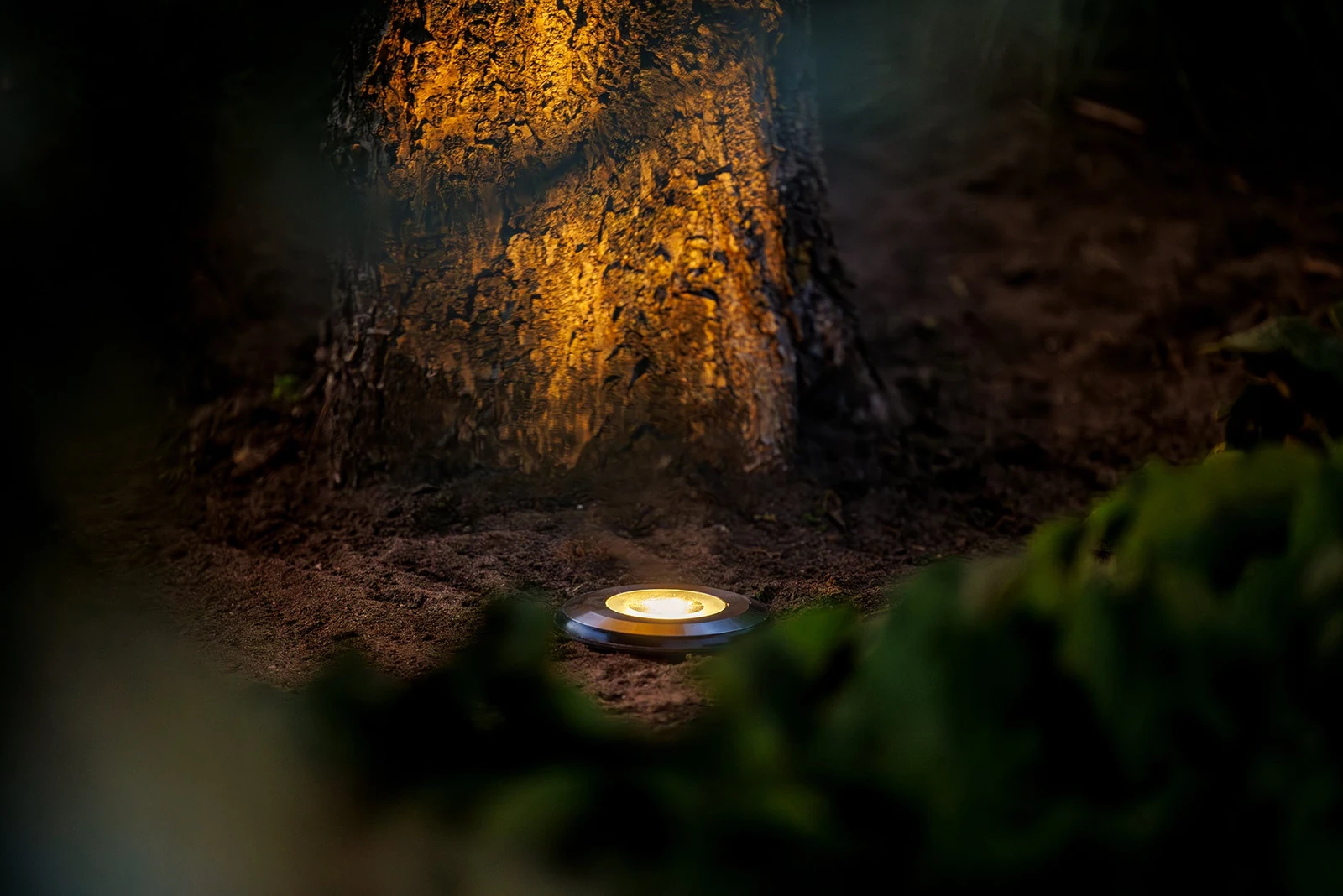 Light Pro Agate 12V