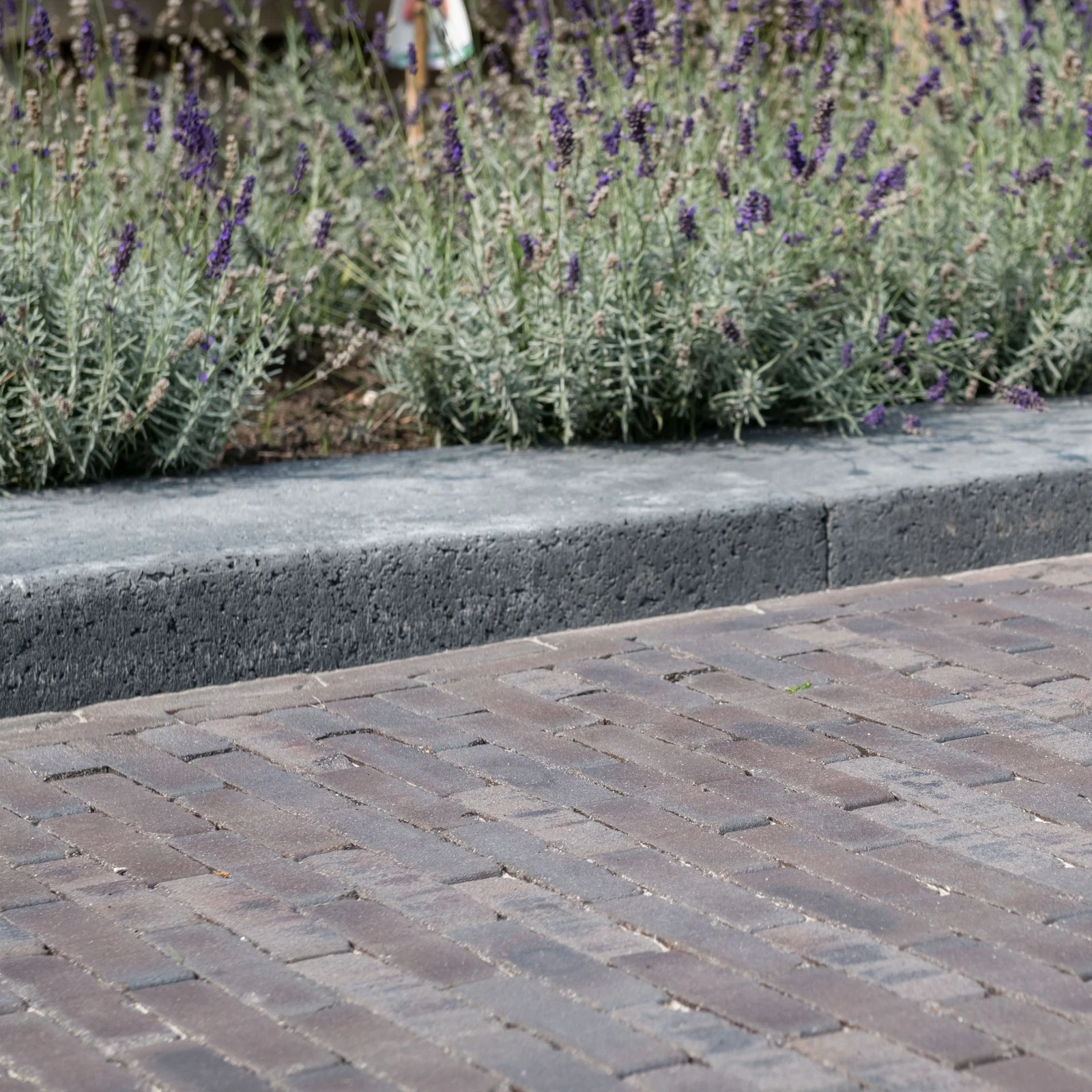 Lugano Antica getrommeld DF60