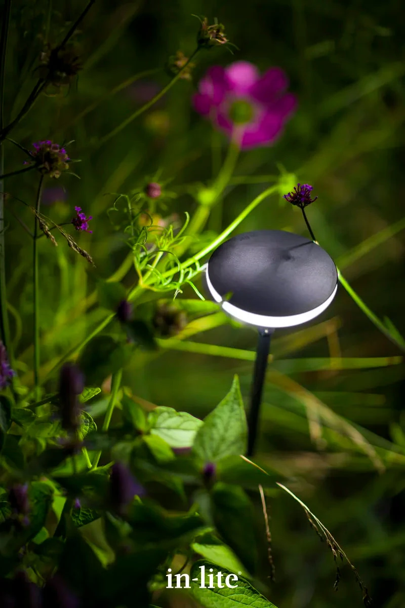 In-Lite Sway Tube Low 60cm Solitary