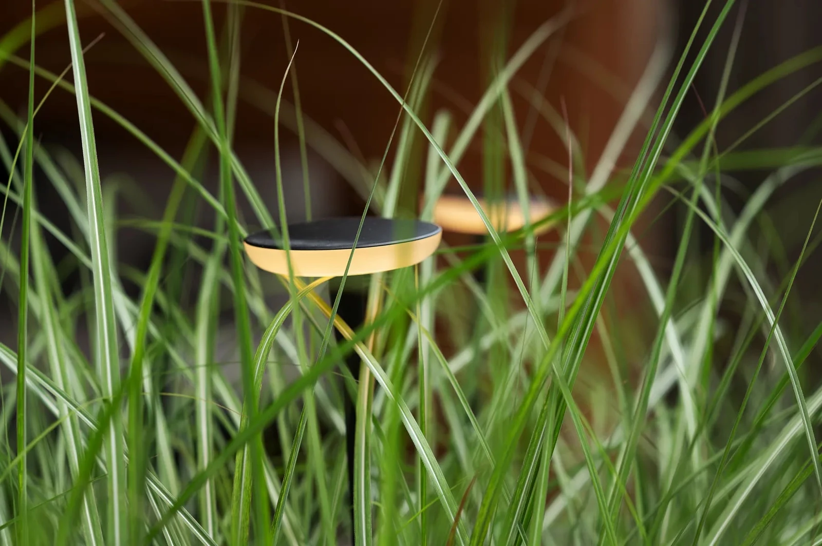 In-Lite Sway Light Head Black Solitary