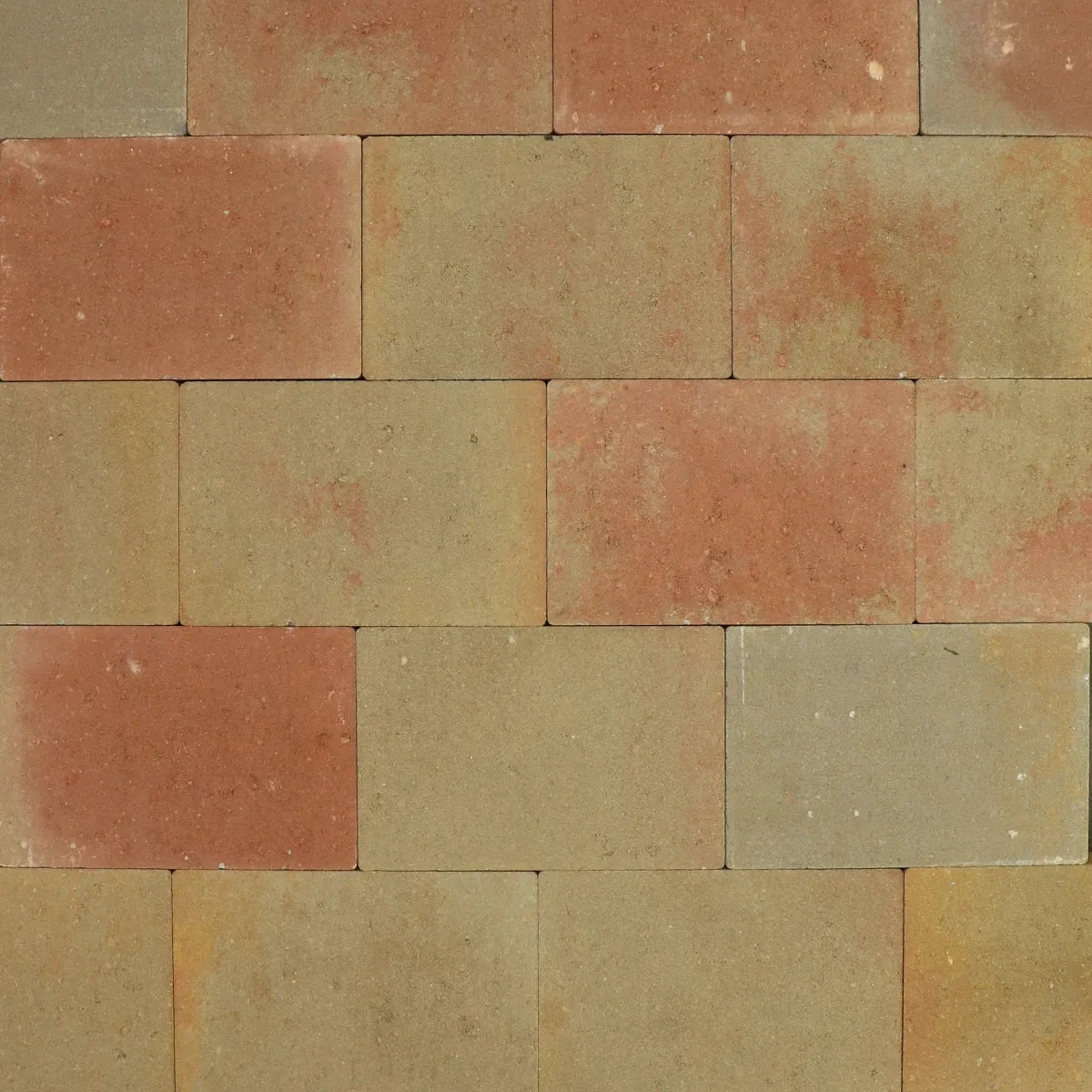 Vlaksteen terra 30x20x6cm