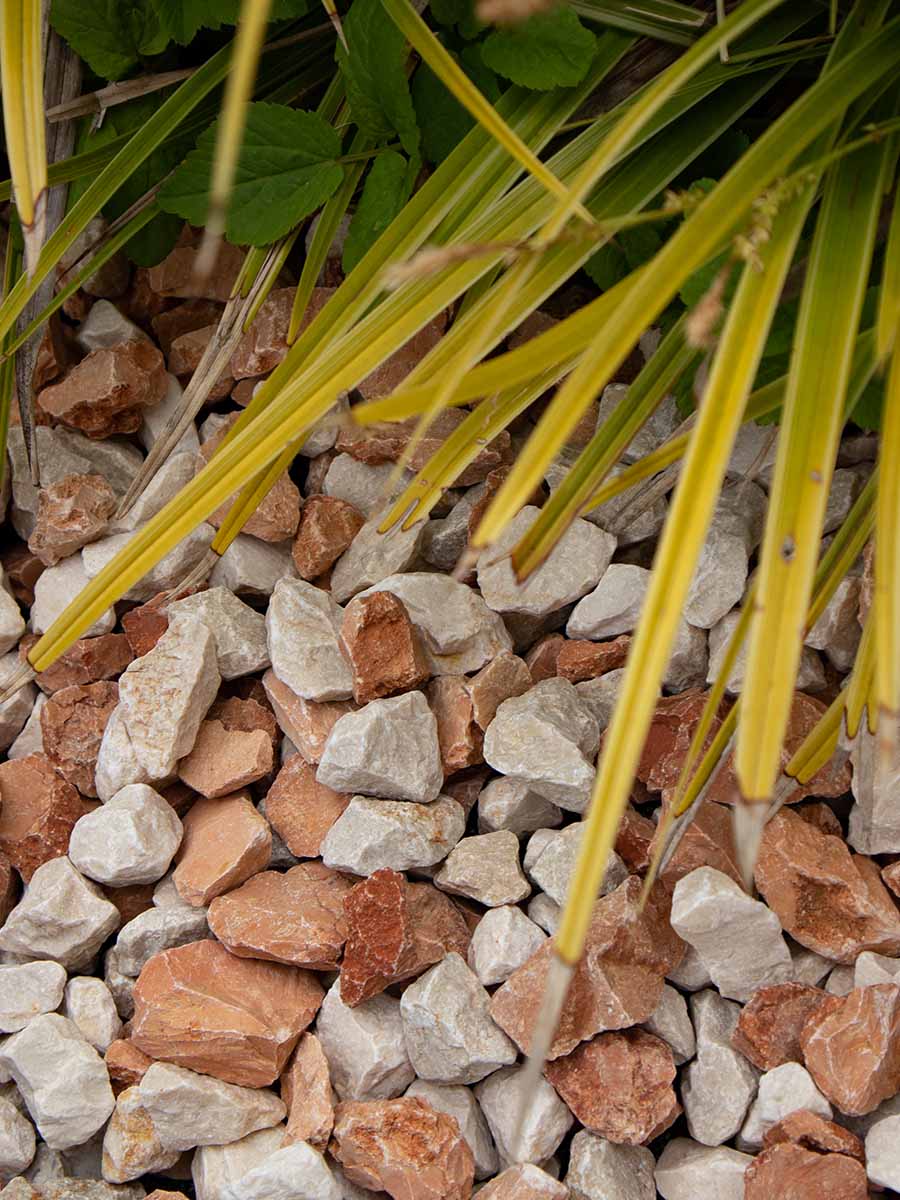 Mediterranea split 11/22mm