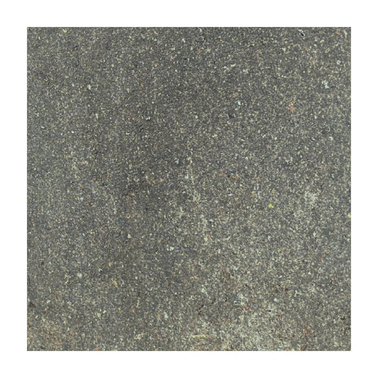 Tegel Beton 50x50x5 cm Grijs